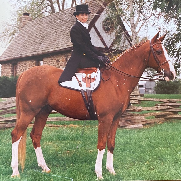 Meet your Posher, Kim - Picture 2 of 13